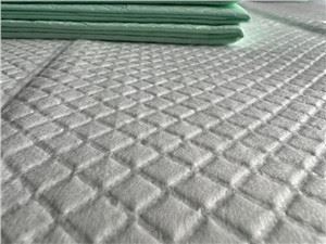 Tapis de dressage pour animaux de compagnie
