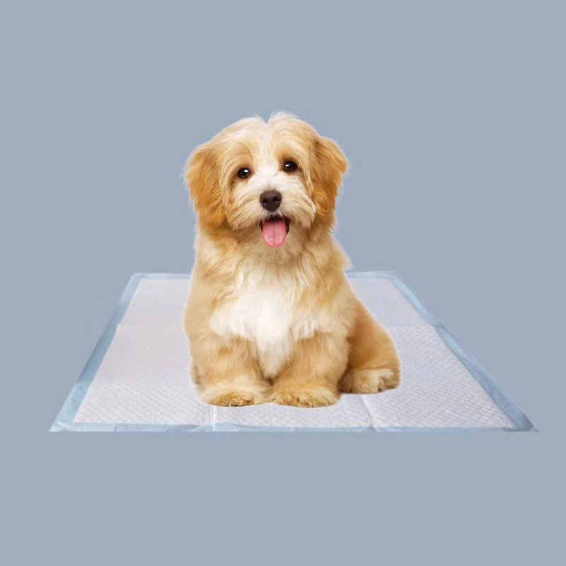 Coussinet pour animaux de compagnie