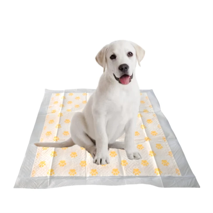 Coussinets jetables pour chiots, test de santé, surveillance de la santé