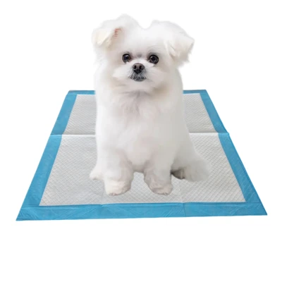 protection jetable de toilette de chien de processus de compression de vide de capacité d'absorption 1000ml