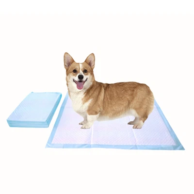 Coussinets jetables anti--mastication pour pipi pour animaux de compagnie, soins d'hygiène pour chiens