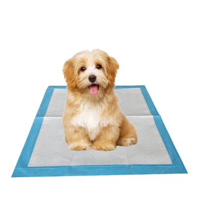 Coussinets antibactériens jetables pour animaux de compagnie