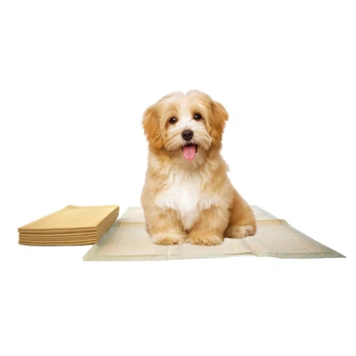Tampons de toilette jetables pour chiens en tissu de bambou
