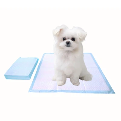 -Coussins de dressage jetables résistants à la mastication pour chiens