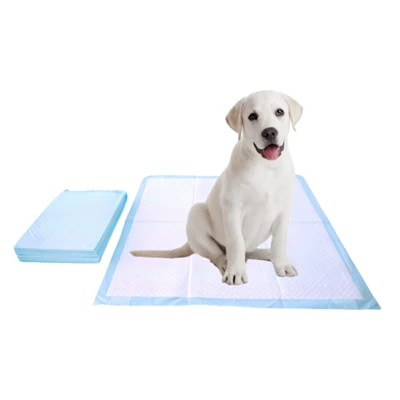 Mâcher-Coussins d'apprentissage de la propreté jetables et résistants pour chiens