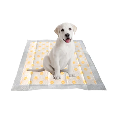 Tampons jetables-de surveillance de la santé des chiens