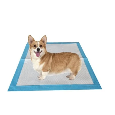 Taft pour chiens écologiques jetables à l'aide de matériaux de PCR