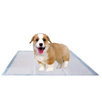 Coussinet pour animaux de compagnie